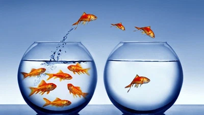 Customer Attrition Analysis featured image